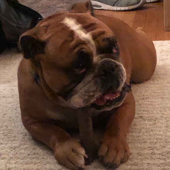 Meet your Posher, Joshua - Picture 1 of 1